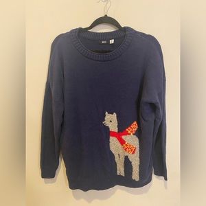 M. BDG. Cute llama sweater.